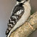 Downy Woodpecker